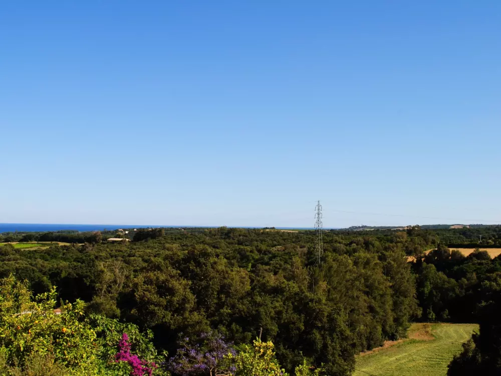 Maison de Vacances Cervione