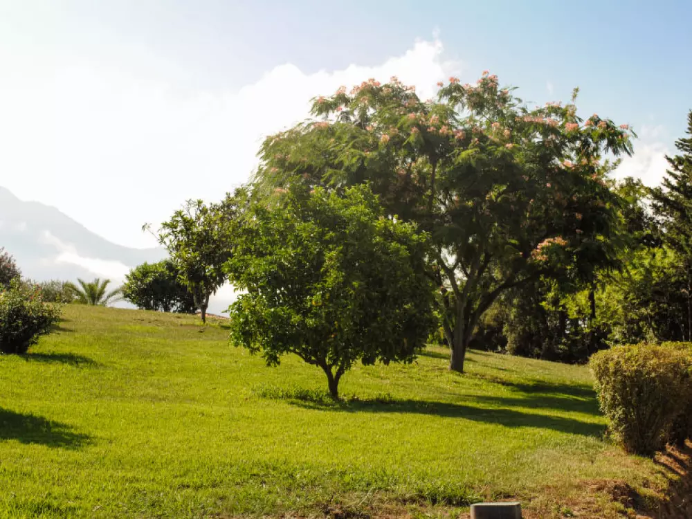 Maison de Vacances Cervione
