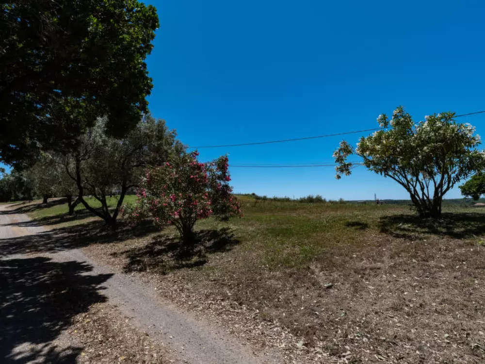 Maison de Vacances Cervione