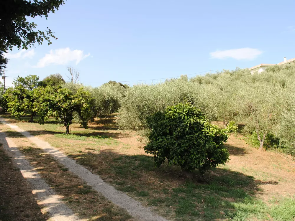 Maison de Vacances Cervione