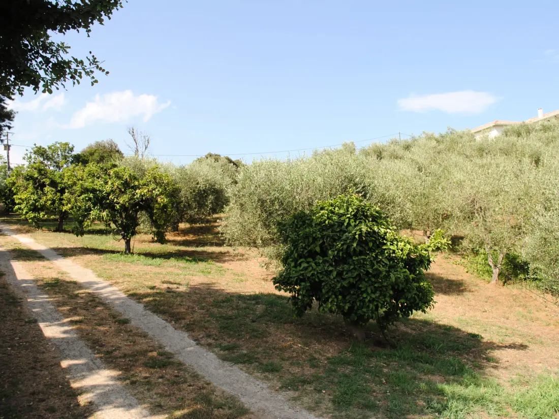 Maison de Vacances Cervione