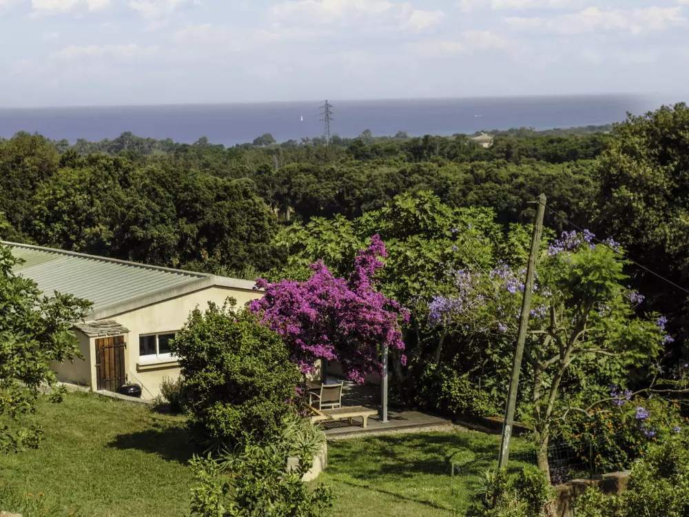 Maison de Vacances Cervione