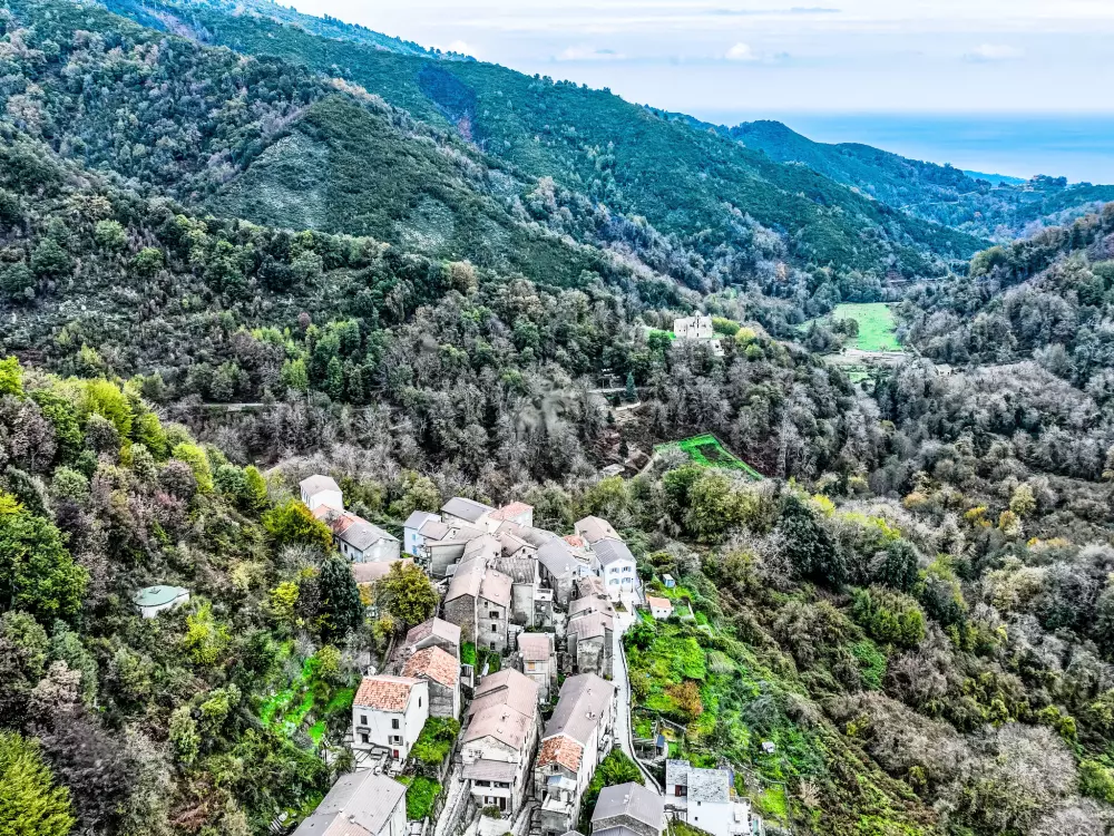 Maison de Vacances Cervione