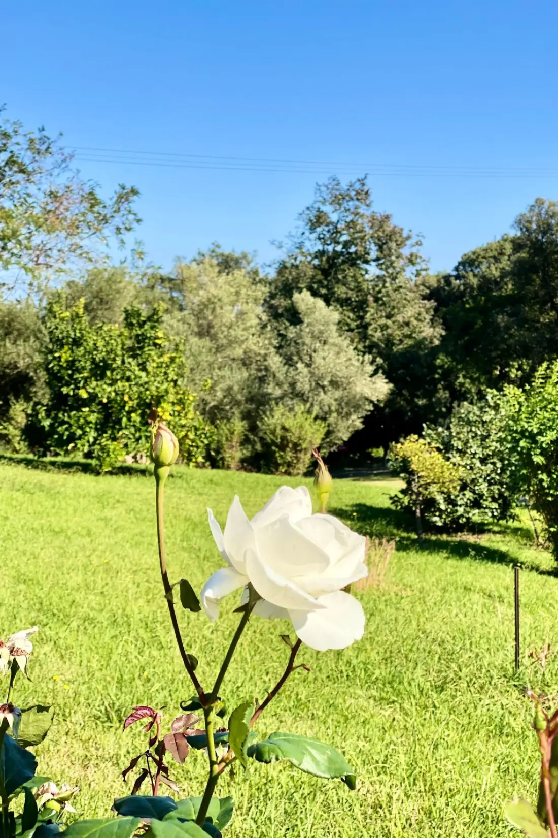 Maison de Vacances Cervione