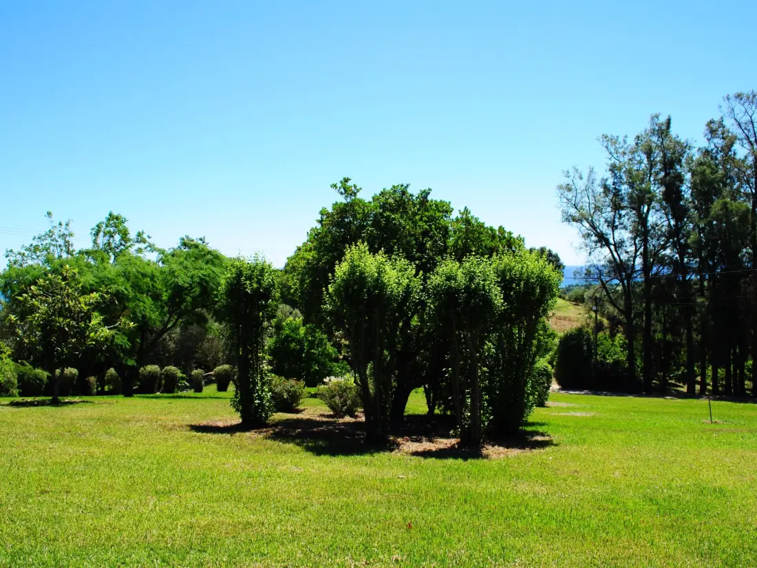 Maison de Vacances Cervione