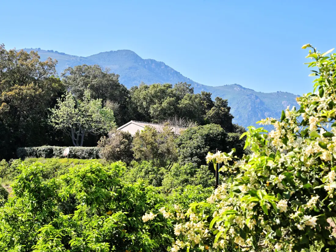 Maison de Vacances Cervione