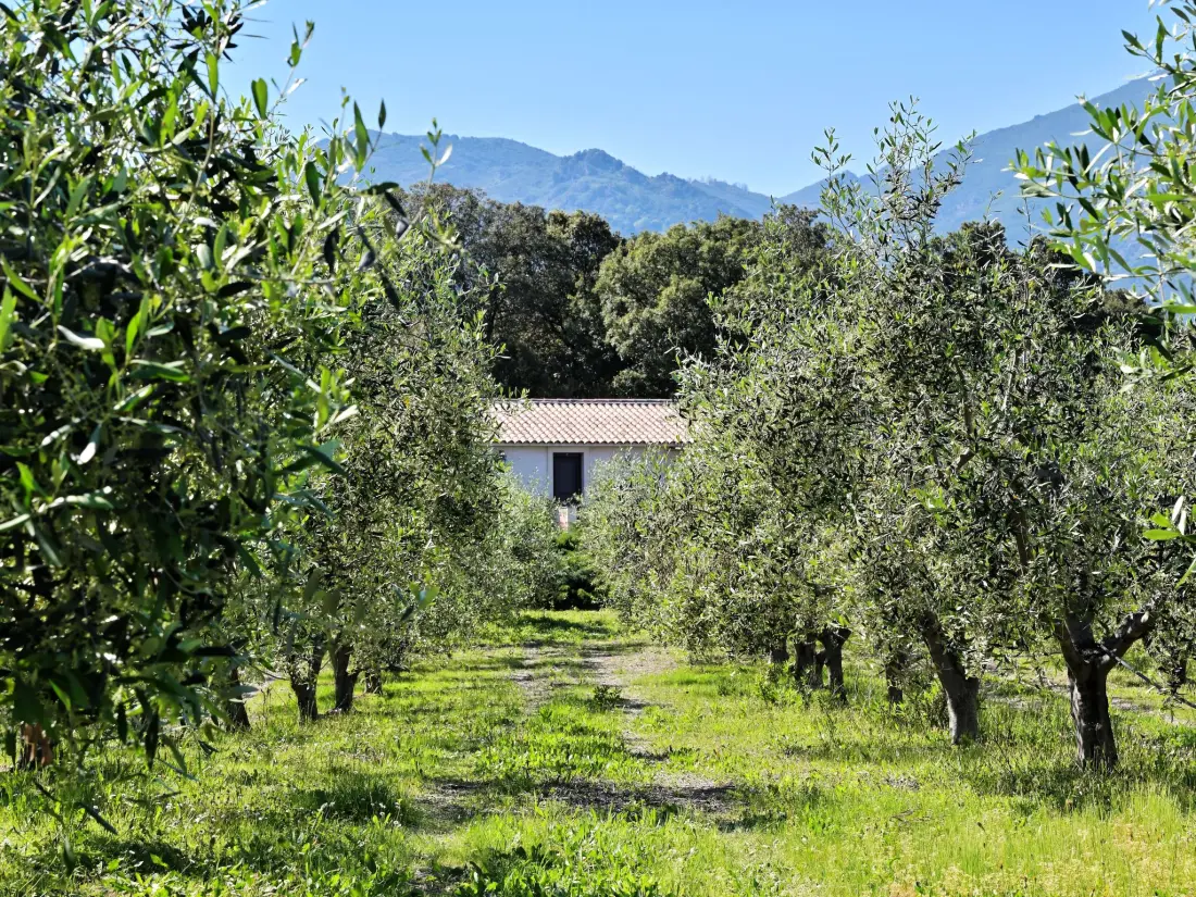 Maison de Vacances Cervione