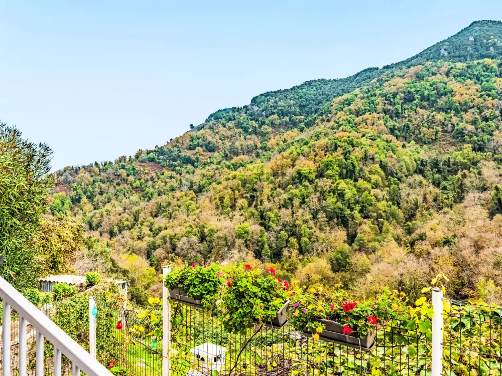 Maison de Vacances Cervione