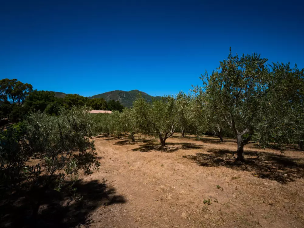 Maison de Vacances Cervione