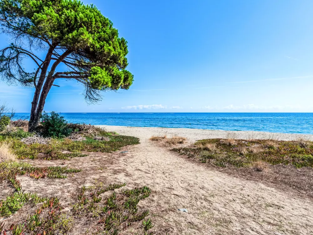 Résidence Villa Volpajola