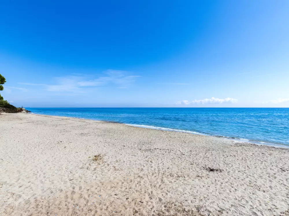 Résidence Villa Volpajola