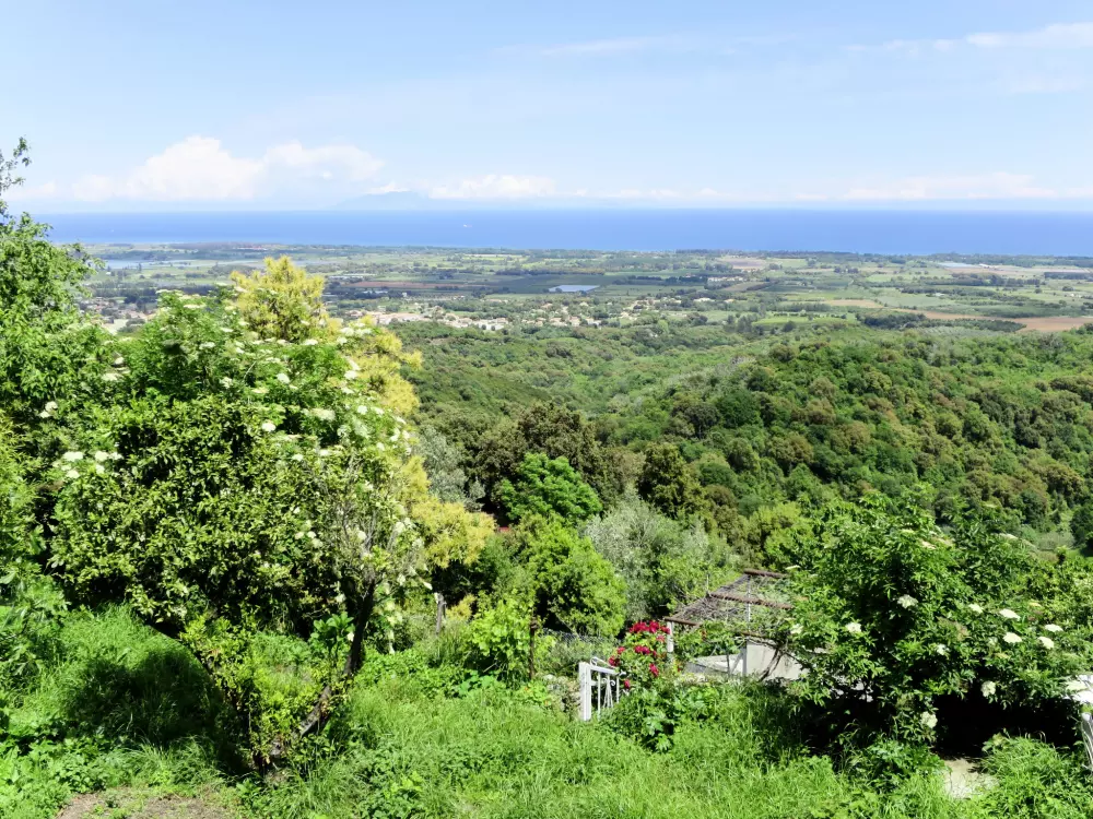 Résidence Villa Volpajola