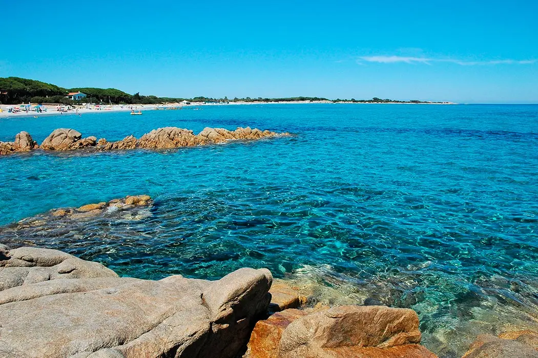 Camping Pineta sul Mare Camping Village