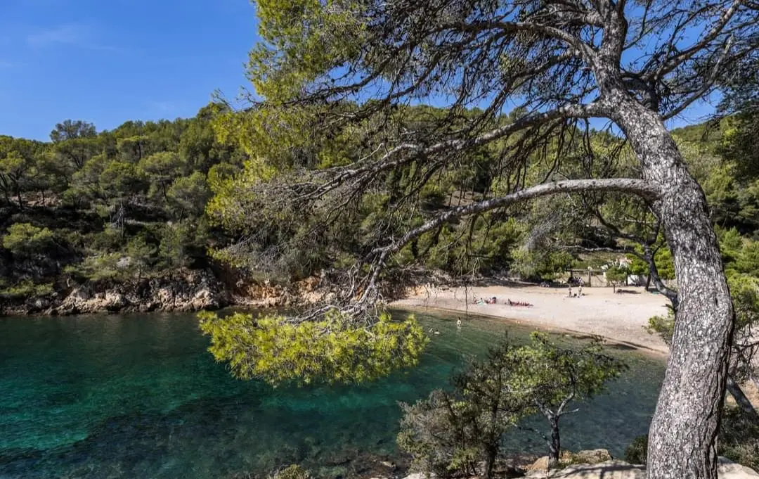 Camping de Ceyreste 4 étoiles★★★★