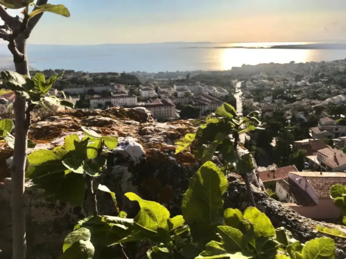 Camping de Ceyreste 4 étoiles★★★★