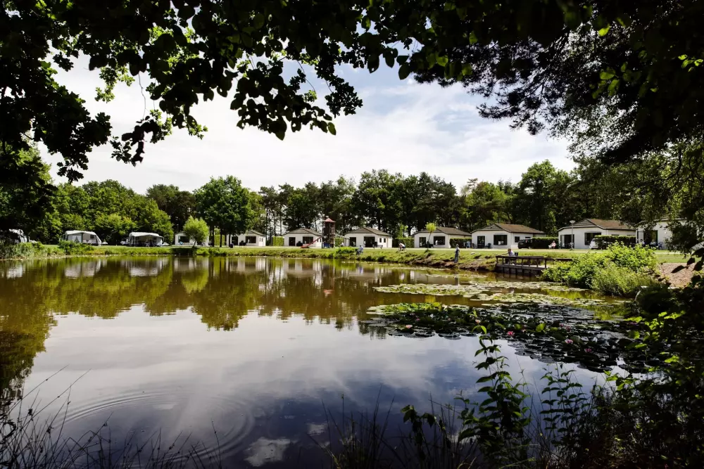 RCN de Flaasbloem 5 étoiles★★★★★