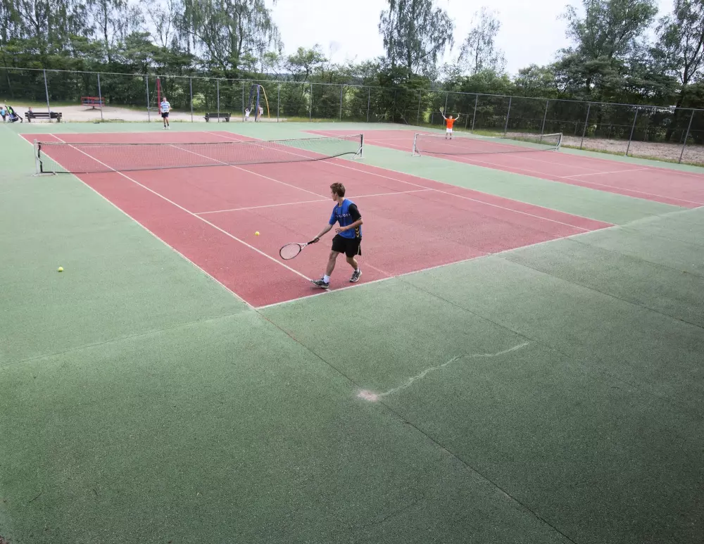 RCN de Flaasbloem 5 étoiles★★★★★