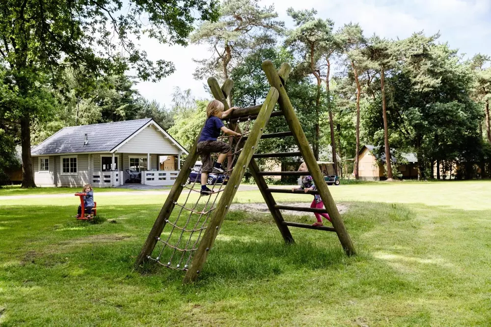 RCN de Flaasbloem 5 étoiles★★★★★