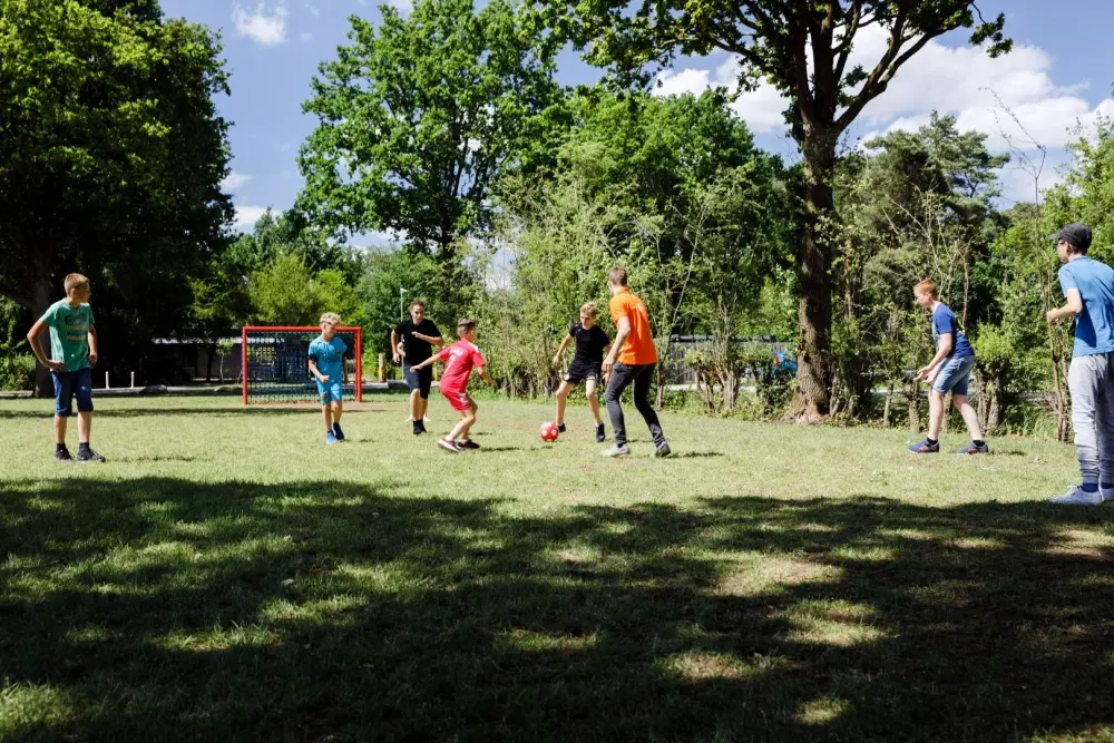 RCN de Flaasbloem 5 étoiles★★★★★