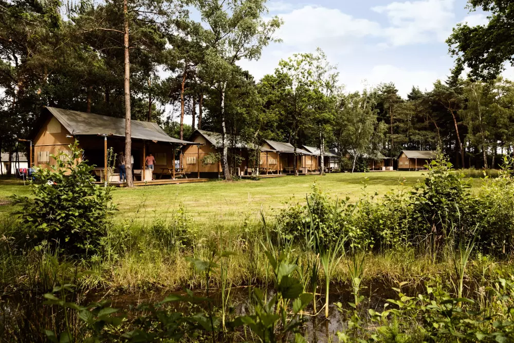 RCN de Flaasbloem 5 étoiles★★★★★