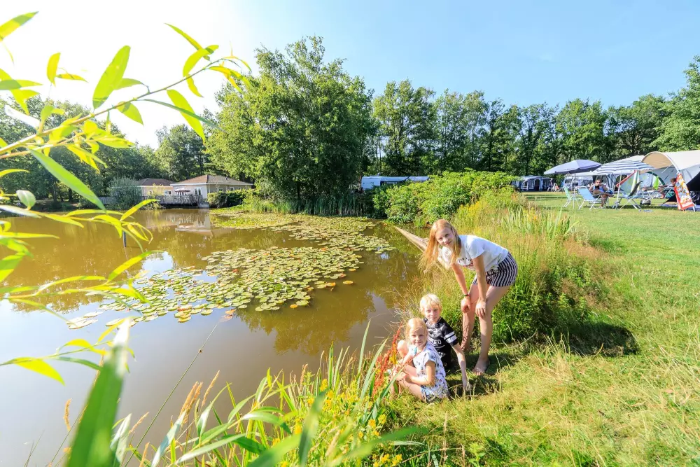 RCN de Flaasbloem 5 étoiles★★★★★