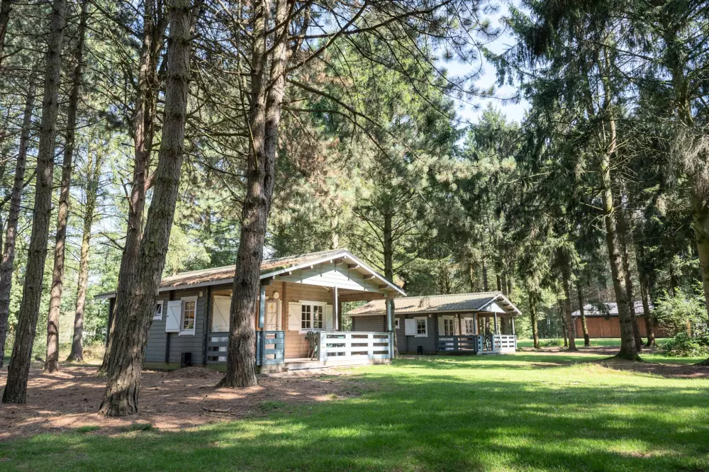 RCN de Flaasbloem 5 étoiles★★★★★