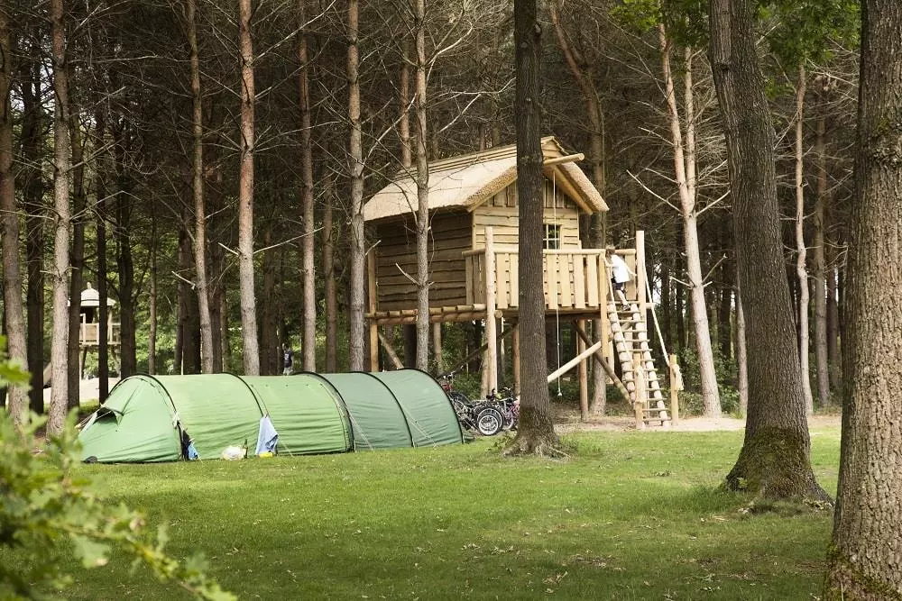 RCN de Flaasbloem 5 étoiles★★★★★