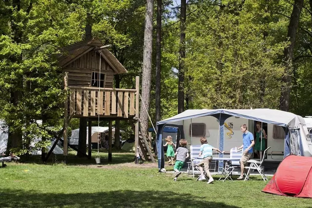 RCN de Flaasbloem 5 étoiles★★★★★