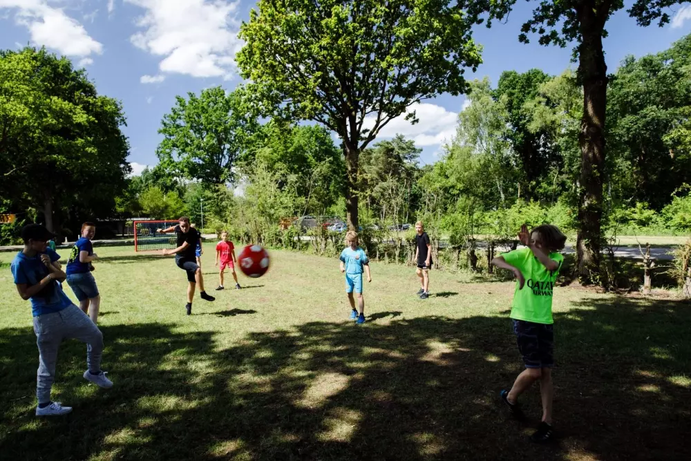 RCN de Flaasbloem 5 étoiles★★★★★