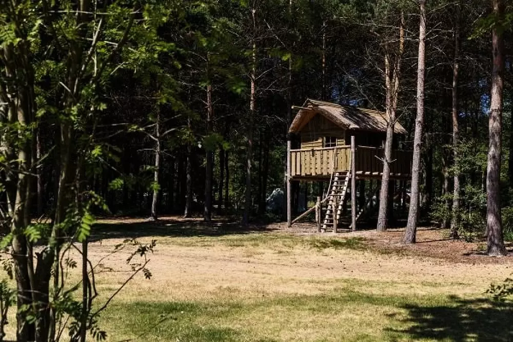 RCN de Flaasbloem 5 étoiles★★★★★