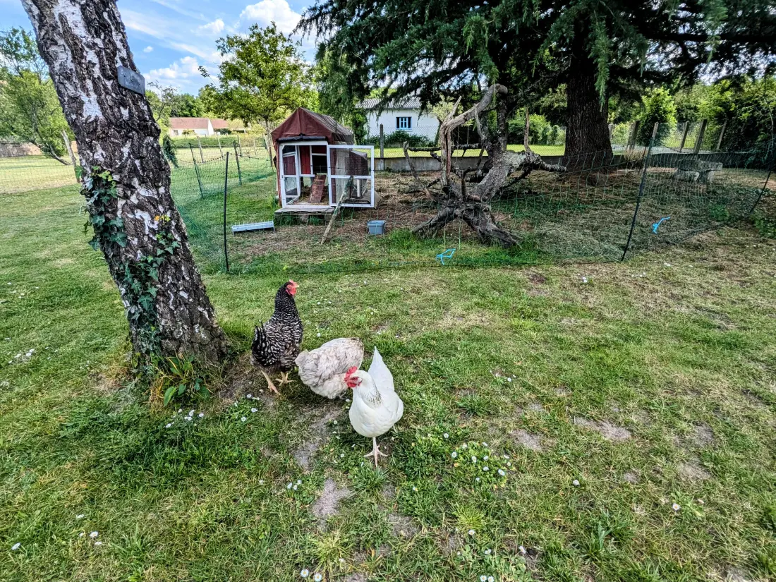 Maison de Vacances Chabris 10