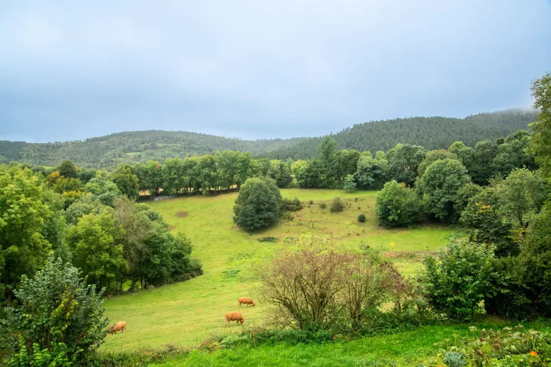 Gîte de France Gîte b les prés 3 épis