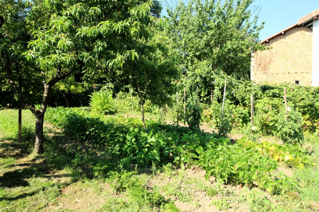 Gîte de France Le bourg 2 épis
