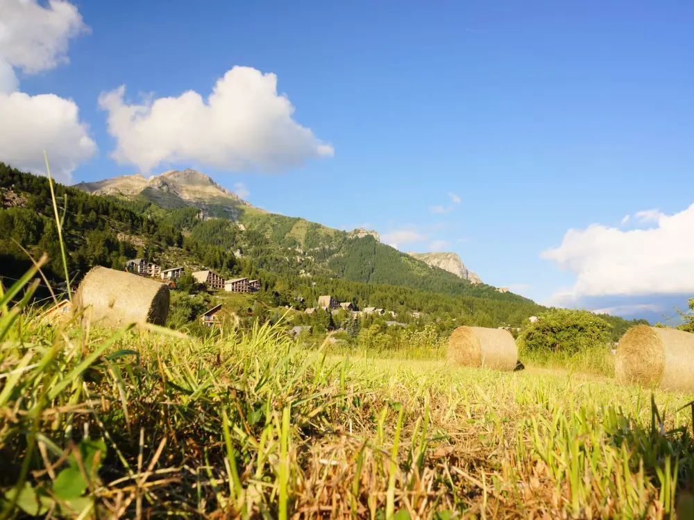 Location de Vacances Saint-Michel-de-Chaillol 134