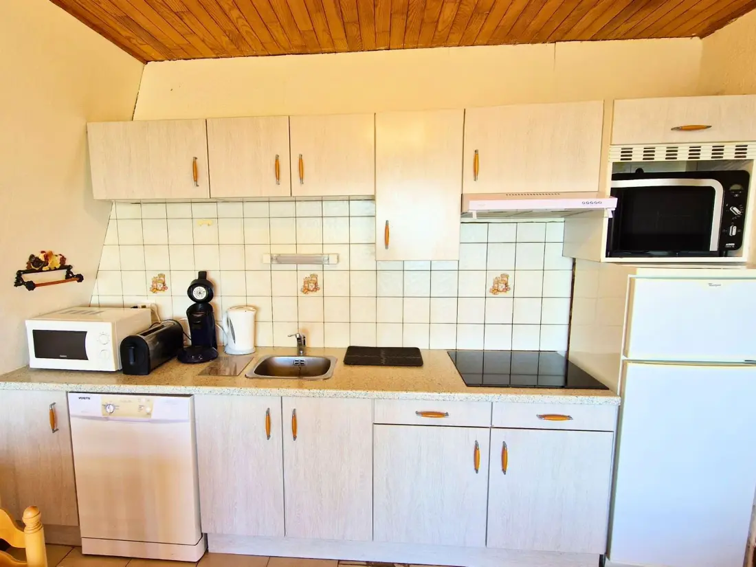 Location de Vacances Saint-Michel-de-Chaillol 172