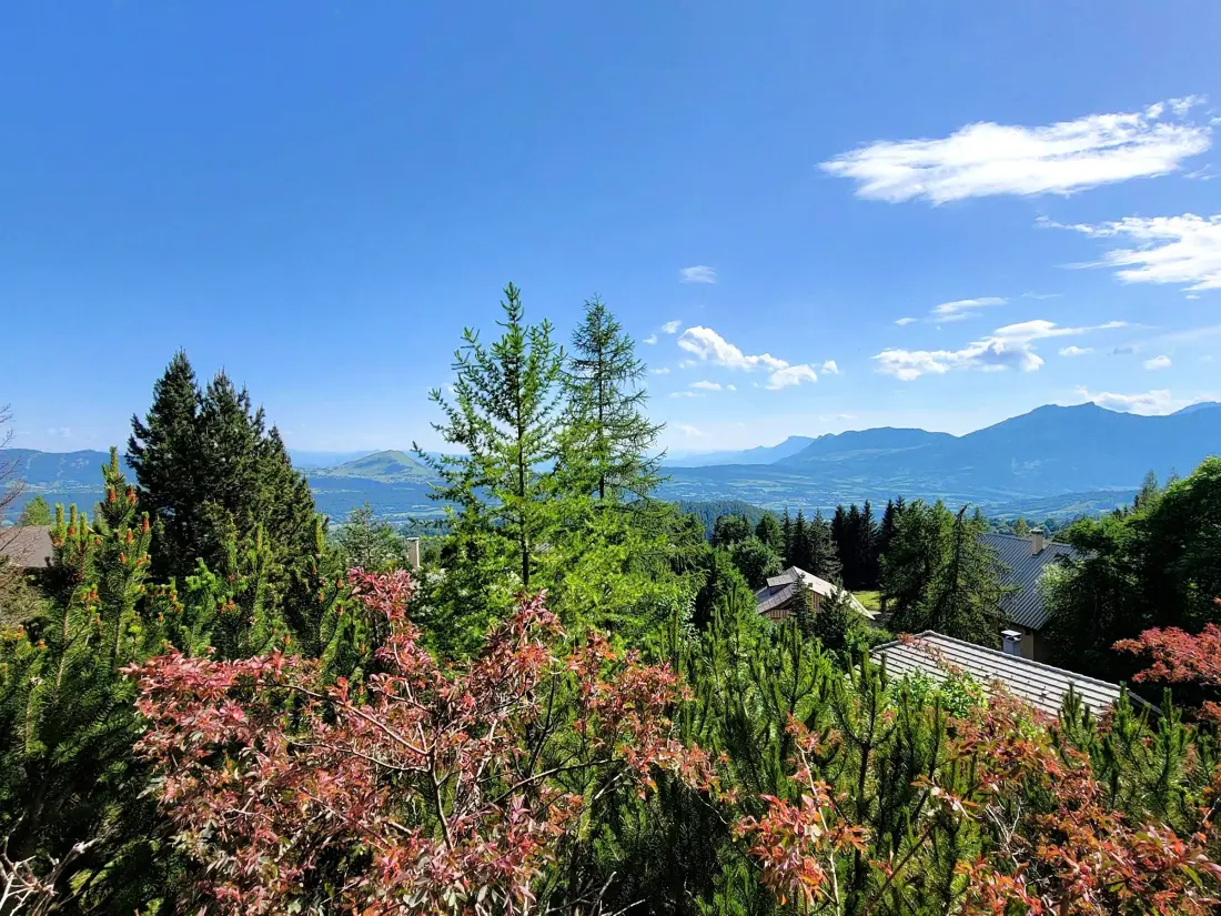 Location de Vacances Saint-Michel-de-Chaillol 183