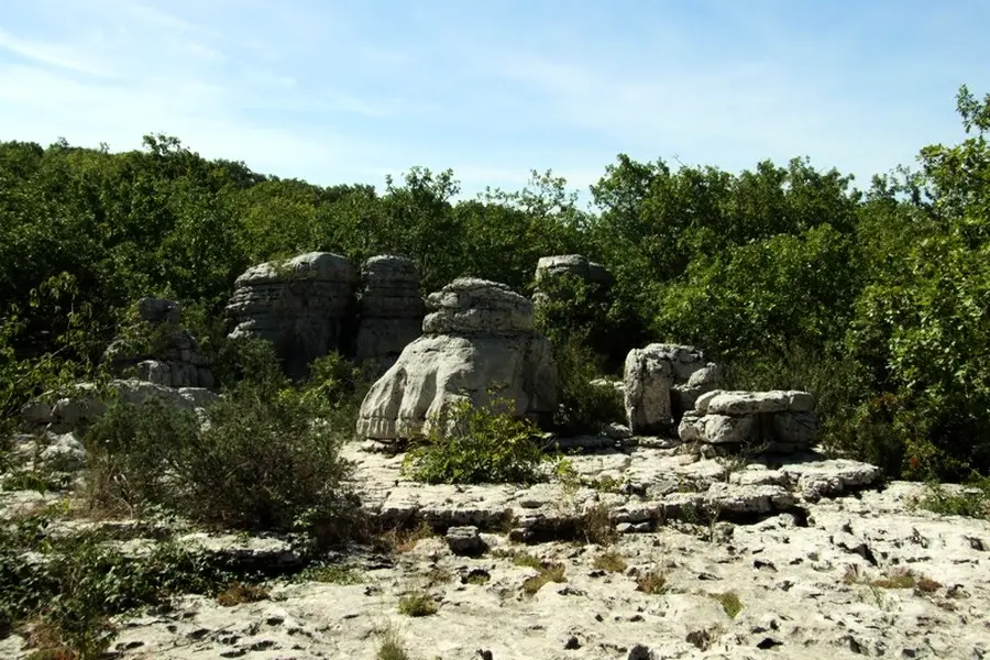 Camping Castanhada3 étoiles★★★