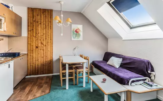 Appartement à Chamonix centre avec parking et wifi - maeva Home
