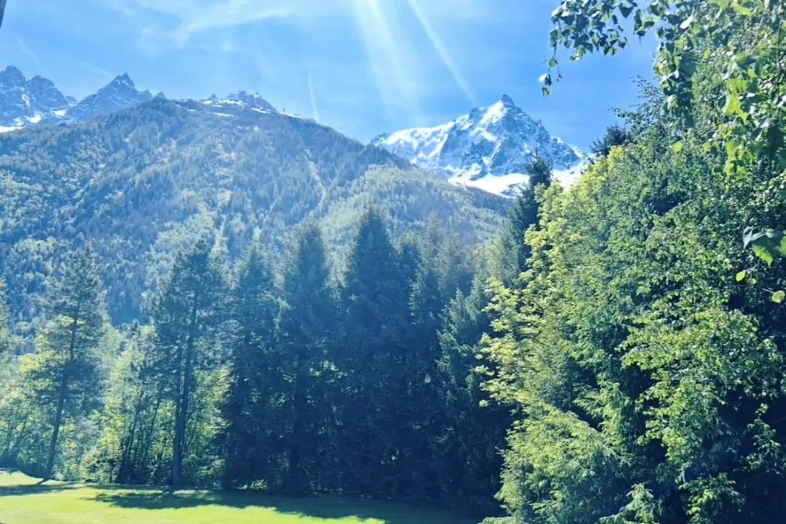 Appartement Avec Vue Sur Le Mont-blanc à Chamonix