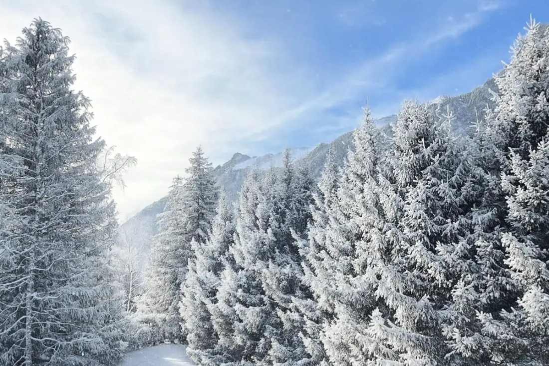 Appartement Lumineux Pour 6 Personnes à Chamonix