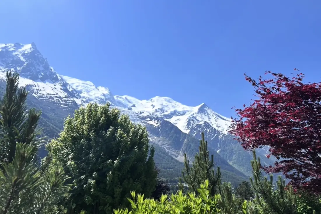 Chalet Luxe 10 Pers • Vue Mont-blanc • Hammam