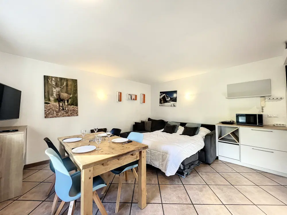 Location de Vacances Chamonix-Mont-Blanc 172