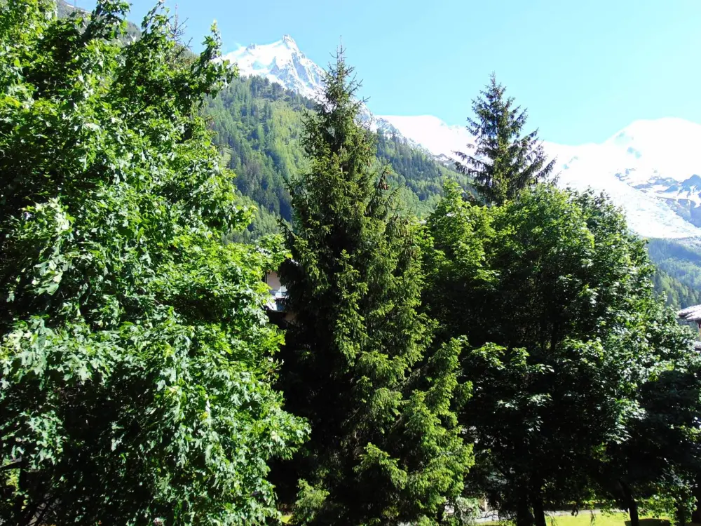 Location de Vacances Chamonix-Mont-Blanc 186