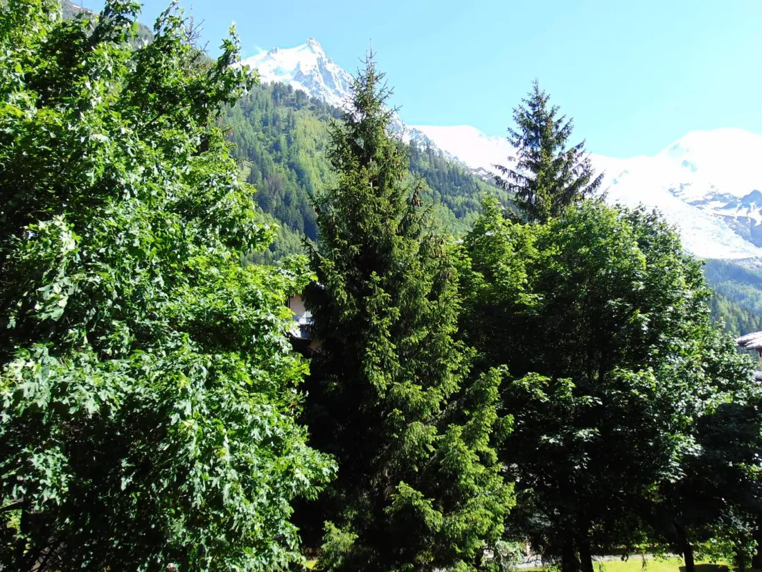 Location de Vacances Chamonix-Mont-Blanc 186