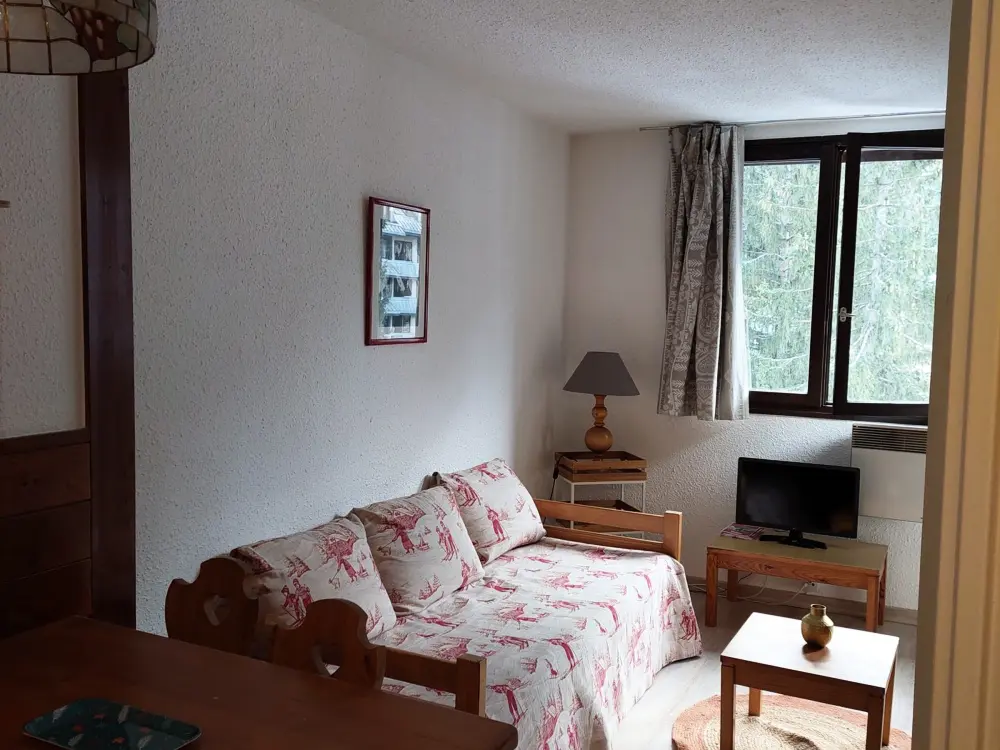 Location de Vacances Chamonix-Mont-Blanc 196