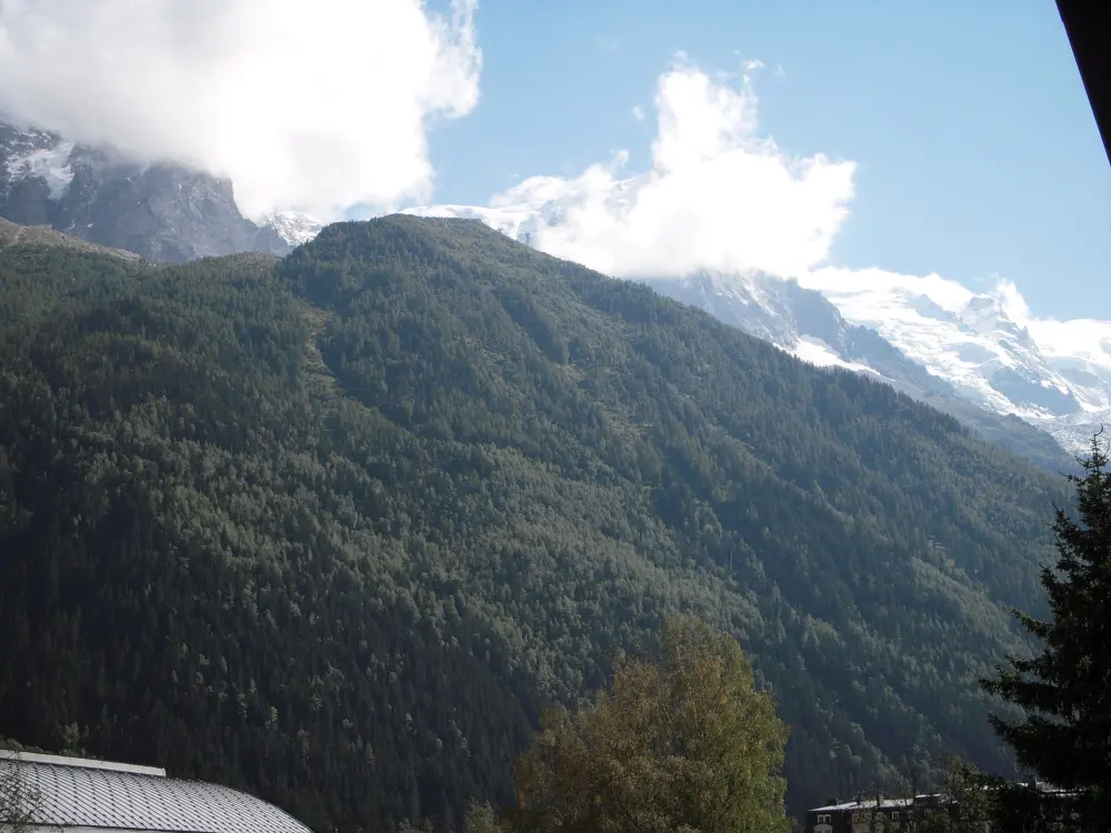 Location de Vacances Chamonix-Mont-Blanc 202