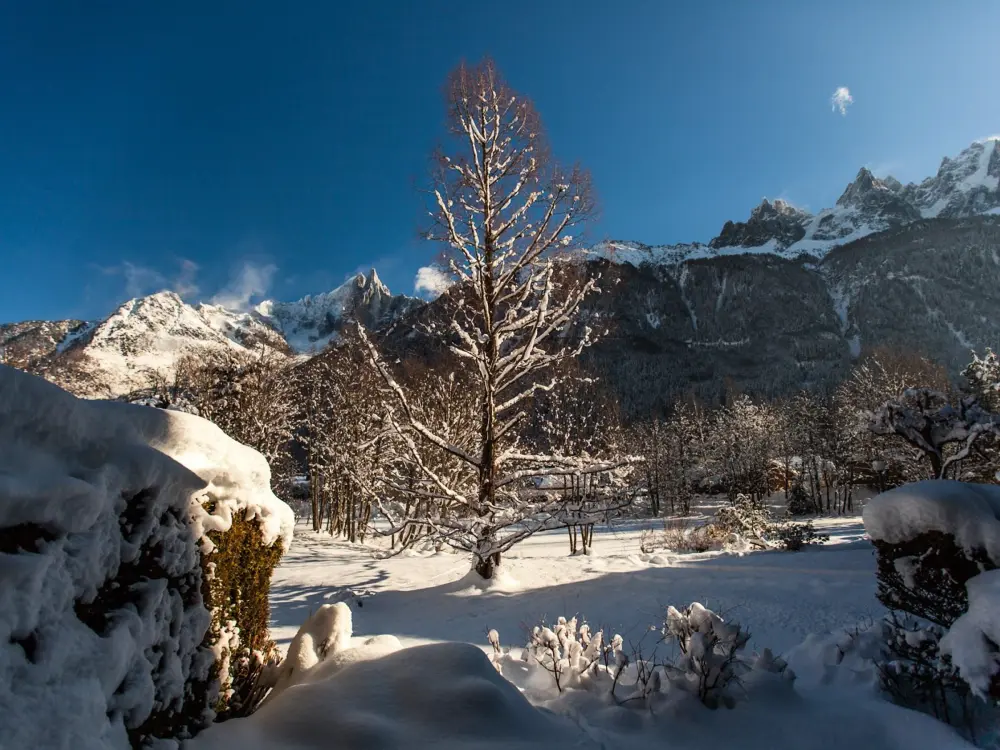 Location de Vacances Chamonix-Mont-Blanc 203
