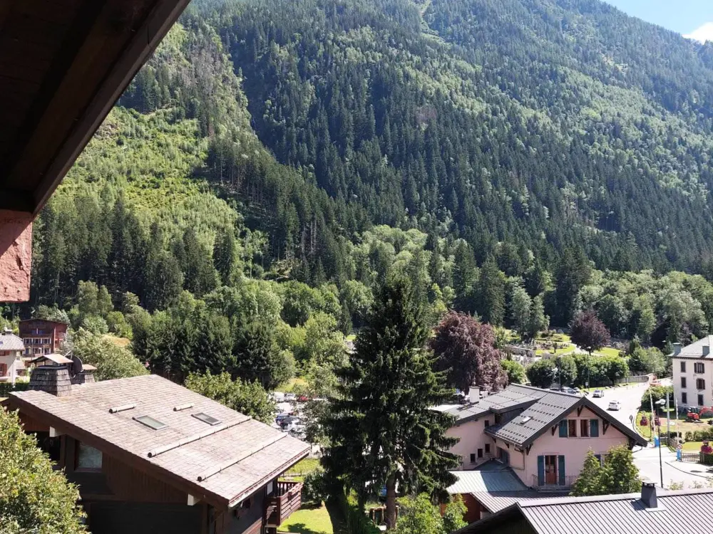 Location de Vacances Chamonix-Mont-Blanc 206
