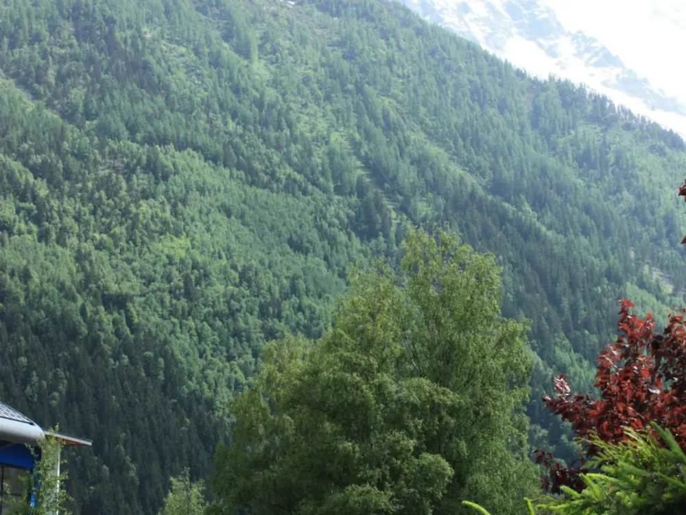Location de Vacances Chamonix-Mont-Blanc 209