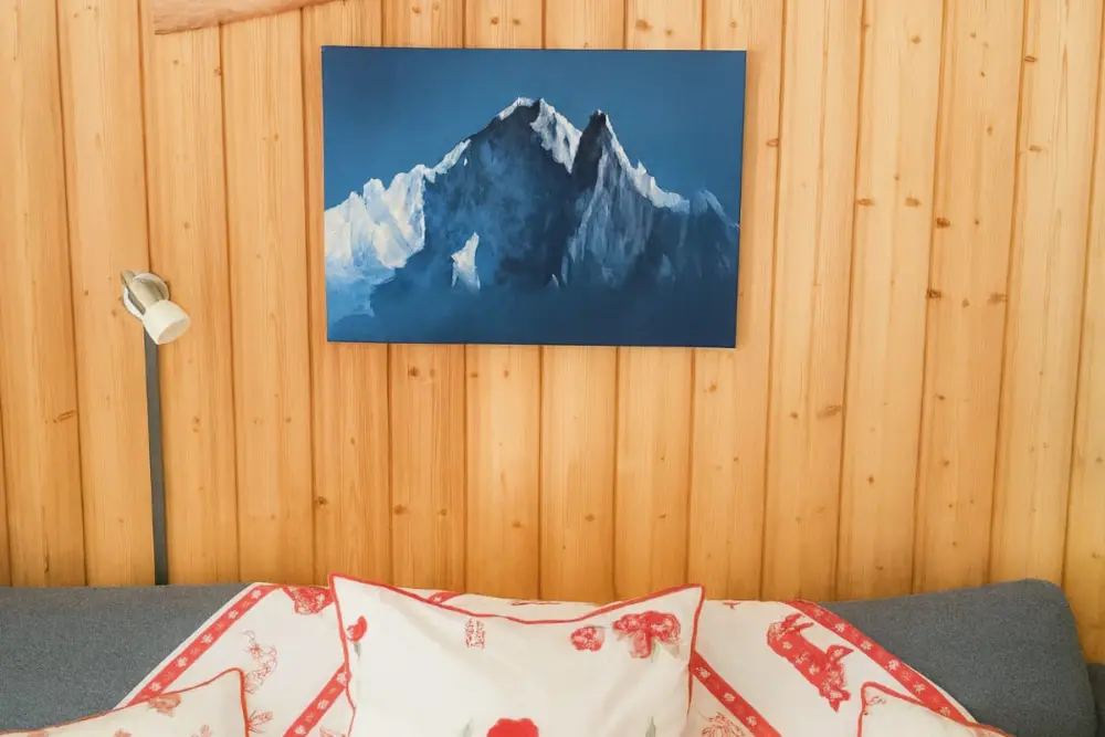 Vue Mont Blanc | Plein Centre | Parking